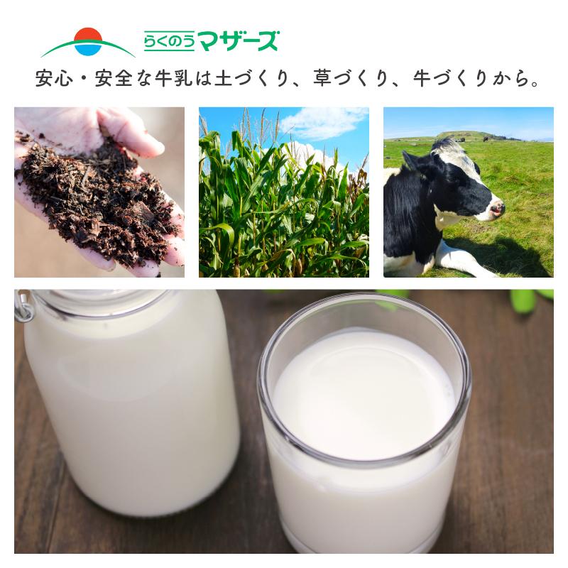 らくのうマザーズ 大阿蘇牛乳 1000ml 紙パック 6本入×2ケース 送料無料 常温牛乳 常温保存 ロングライフ牛乳 :MD11103-2:食材卸しのムラカミ屋 - 通販 - Yahoo!ショッピング らくのうマザーズ 大阿蘇牛乳 1000ml 紙パック 6本入×2ケース 送料無料 常温牛乳 常温保存 ロングライフ牛乳 :MD11103-2:食材卸しのムラカミ屋 - 通販 - Yahoo!ショッピング