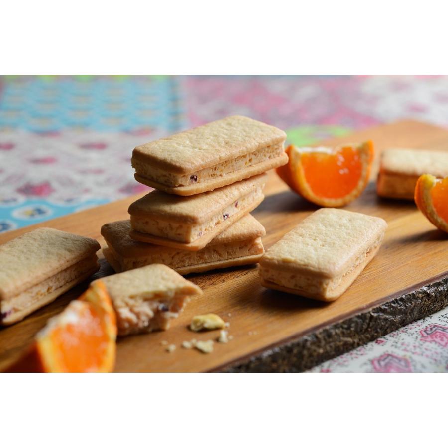 プレゼント mitu Mikan Sand Cookie 寿太郎みかん&クランベリーの