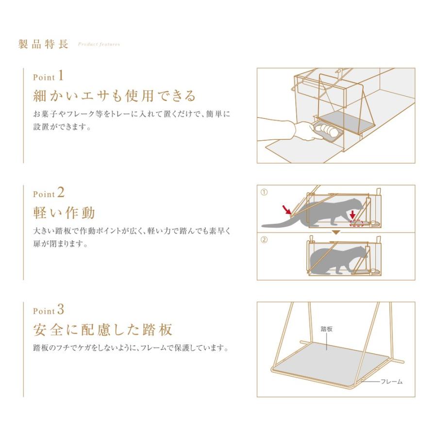 AG-4 栄ヒルズ D type NO.404（捕獲対象：アライグマ、ハクビシン、キツネ）｜muranokajiya｜07