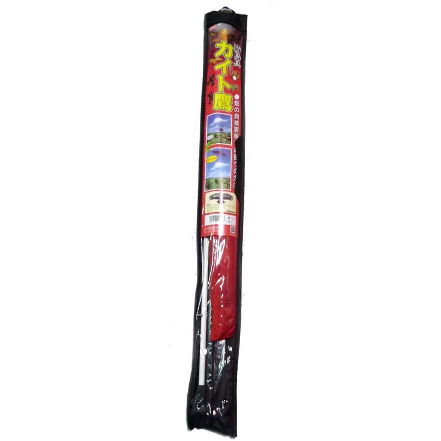 商品追加値下げ在庫復活 鳥追い カイト 鷹 humanidades.upana.edu.gt