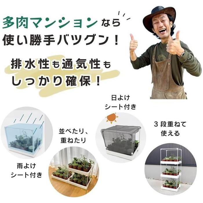 DAIM 多肉マンション 幅35cm×奥行28cm×高さ29cm オフホワイト カーメン