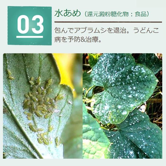 住友化学園芸 殺虫殺菌剤 ベニカナチュラルスプレー 1000ml 天然成分 虫 病気 【頑張って送料無料】｜muranokajiya｜05