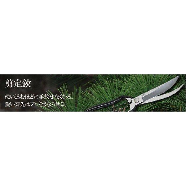 道灌 ドウカン 鍛造剪定鋏 B型金止 200mm DK-671 : 村の鍛冶屋 - 通販