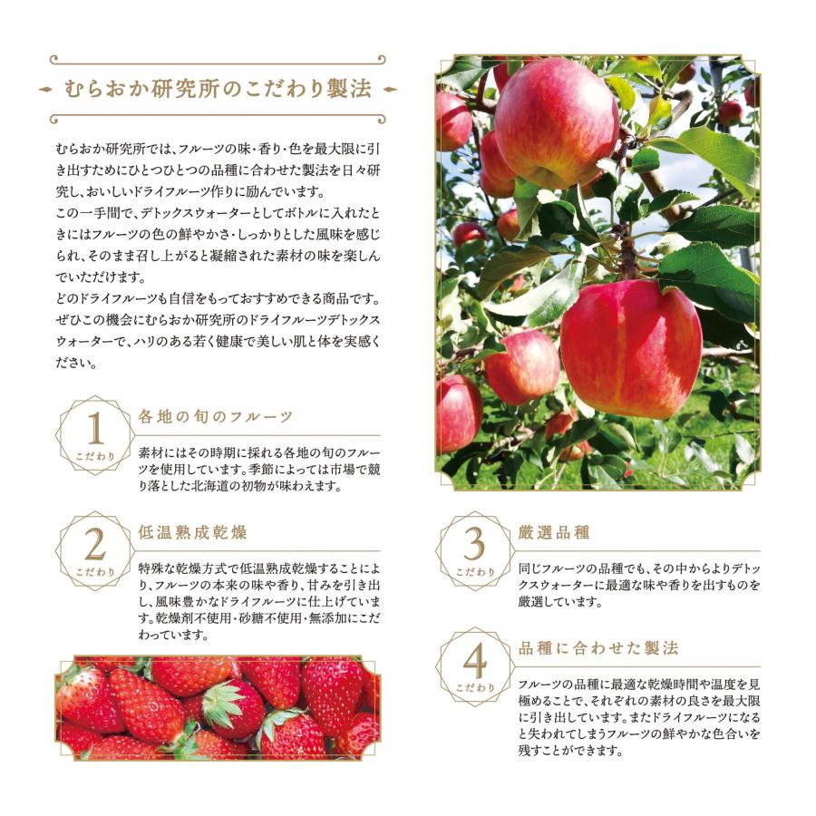 飲む ドライフルーツ２週間セット（１４パック入り）　無添加　砂糖不使用　乾燥剤不使用 |  | 03
