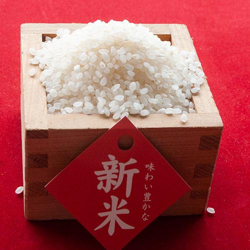 コシヒカリ 京都丹後コシヒカリ1等1kg クラフト袋 : 京丹後の米屋