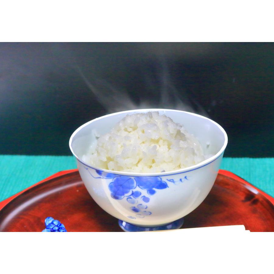 コシヒカリ 京都丹後コシヒカリ1等1kg クラフト袋 : 京丹後の米屋