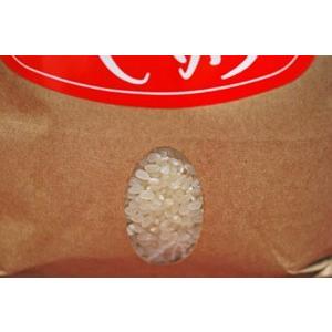 コシヒカリ 京都丹後コシヒカリ1等1kg クラフト袋 : 京丹後の米屋