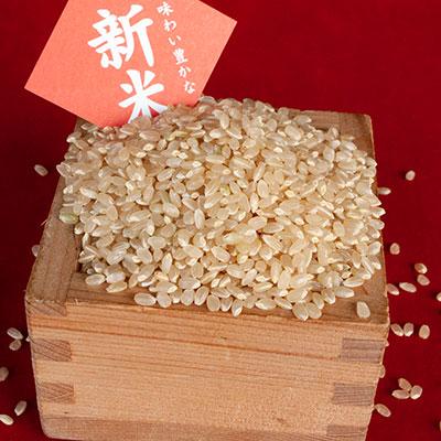 コシヒカリ 丹後コシヒカリ1等30kg 玄米 久美浜産 : 京丹後の米屋 