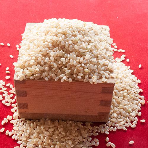 コシヒカリ 丹後コシヒカリ1等30kg 玄米 丹後峰山産 : 京丹後の米屋