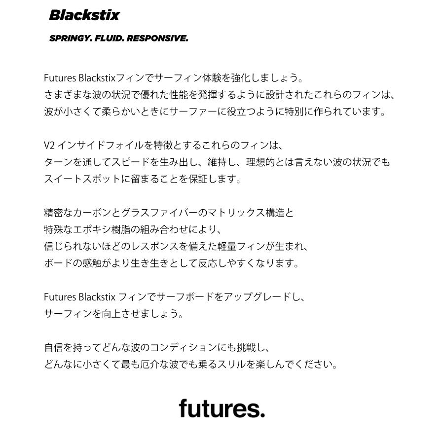 FUTURE フューチャー BLACKSTIX Rシリーズ RAKE ブラックスティック