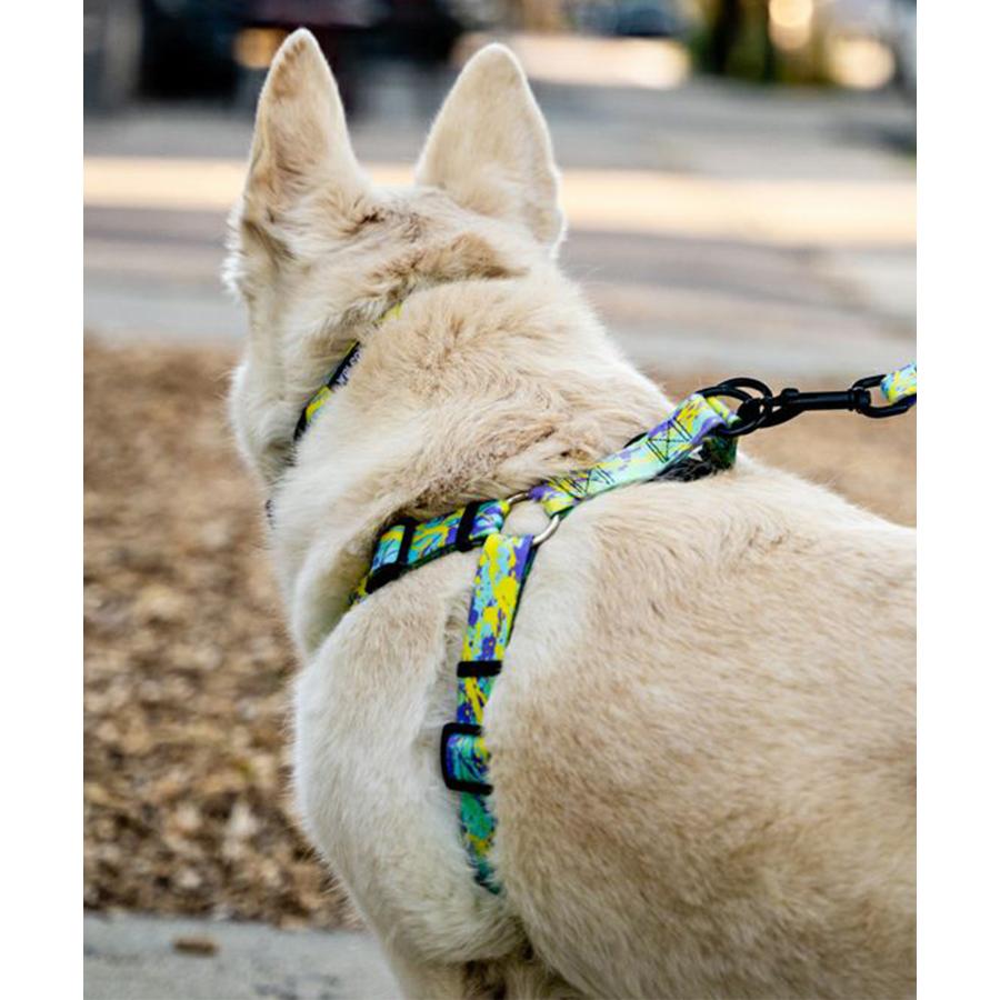 WOLFGANG ウルフギャング 犬用 ハーネス ModernCanvas Harness Mサイズ 