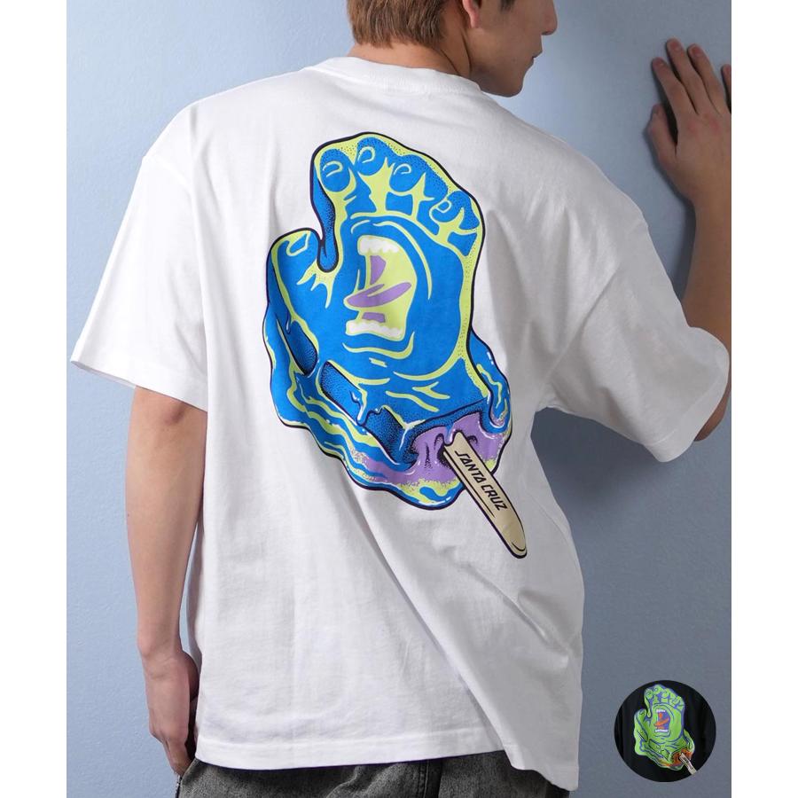SANTACRUZ サンタクルーズ 半袖 Tシャツ メンズ バックプリント 502252406