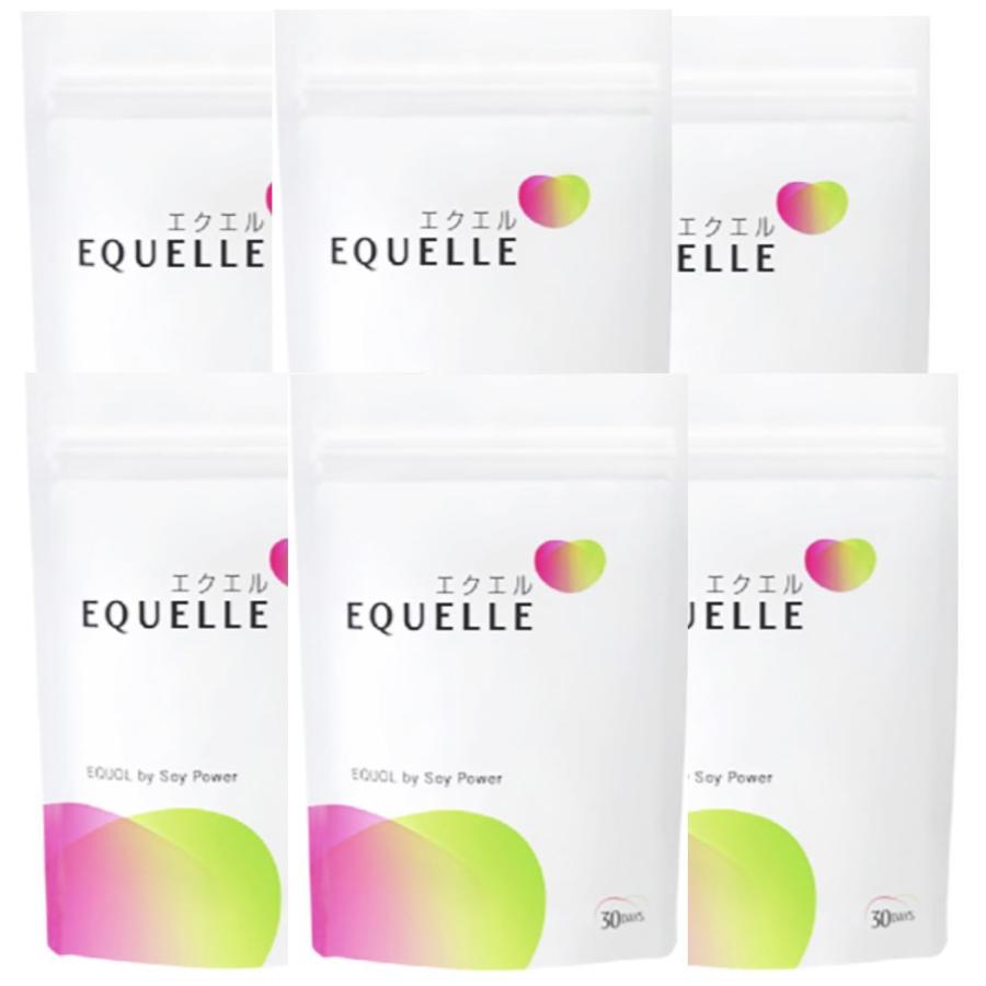 大塚製薬 - エクエル＊6袋セット＊大塚製薬 エクエル パウチ 120粒 6袋セット 大塚製薬 : 良品本舗 埼玉支店