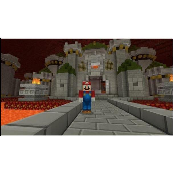 Minecraft Nintendo Switch版 HAC-P-AEUCA （パッケージ版） : 良品