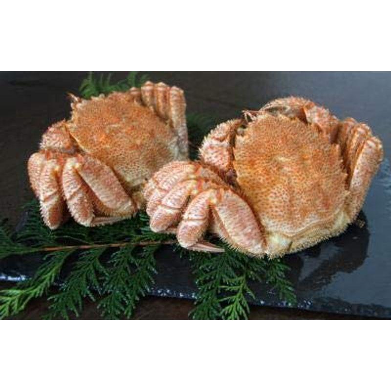 誕生日プレゼント 北海道産の毛蟹をボイル 毛ガニ 約500ｇx2尾 ボイル 冷凍 極上堅蟹 毛蟹 新物 Cisama Sc Gov Br