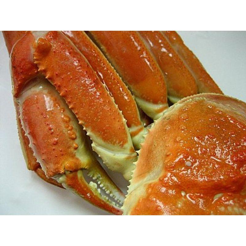 ズワイ蟹 6尾で3kg 人気のカナダ産 最適な材料