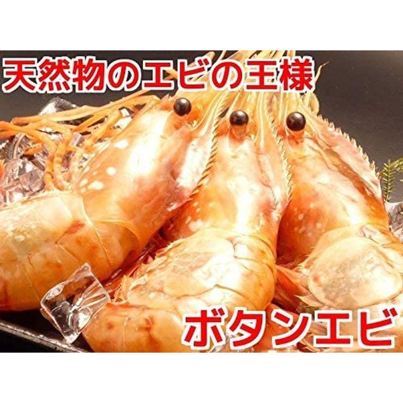 8564円 内祝い どさんこグルメマーケット ボタンエビ 刺身 1kg 特大 生食 子持ち 卵付き 生冷凍 お造り ギフト 有頭 殻付き 約18尾入 海鮮