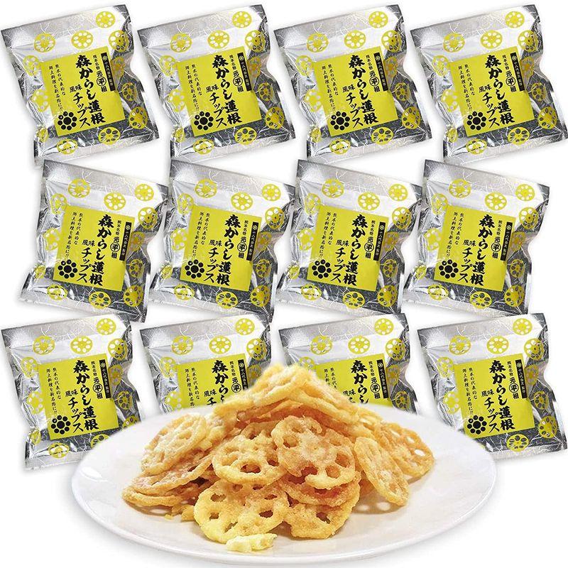 国内最安値に挑戦 森からし蓮根風味チップス gx12袋 からしレンコン からしれんこん 辛子蓮根 熊本 お取り寄せ おつまみ Megjc Gov Jm