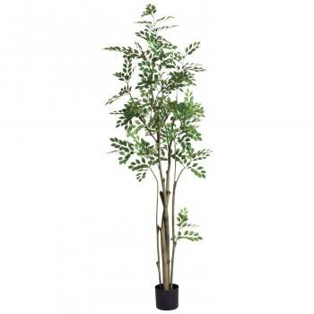 観葉物 トネリコポット グリーン 2本セット Fd4295 アレンジメント Www Younglandscapes Com