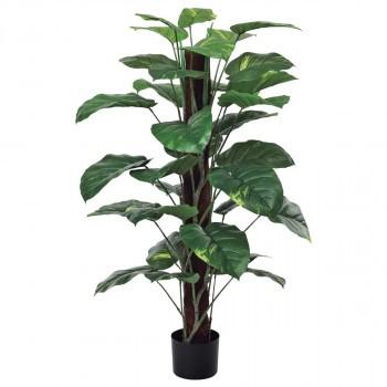 観葉物 ポトスヘゴポット グリーン 2本セット Fd4038 アレンジメント Antoniodomingo Es