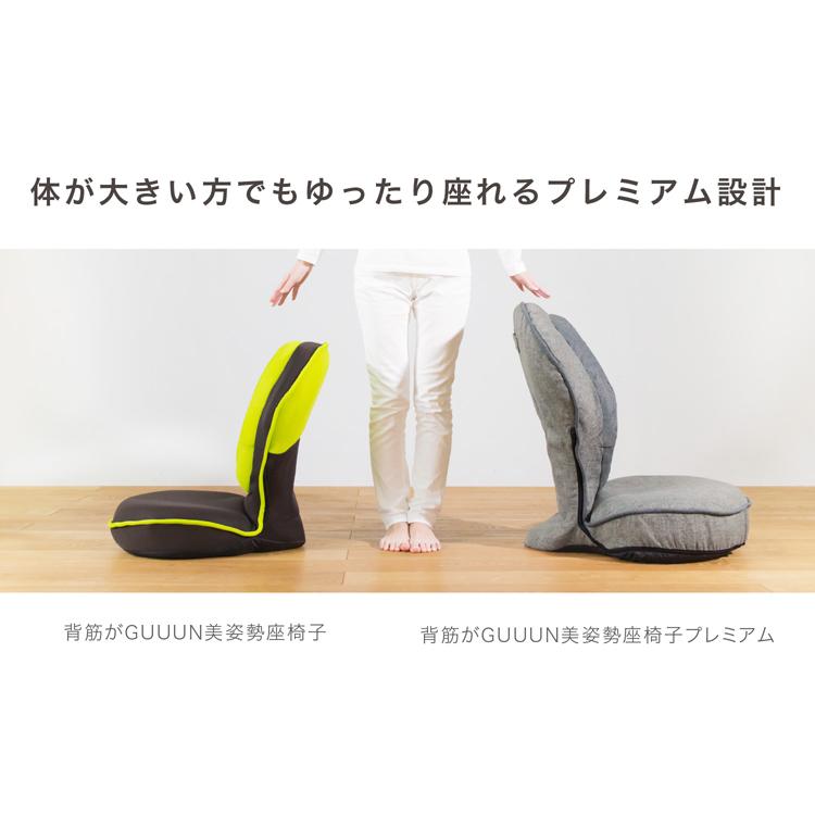 PROIDEA 背筋がGUUUN 美姿勢座椅子プレミアム テレワーク 【70％OFF 