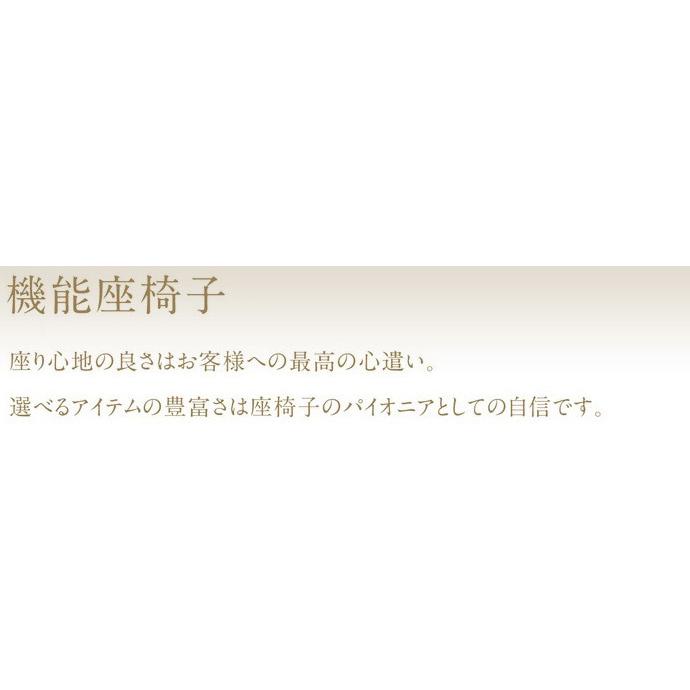 光製作所 座椅子 P-100リット 布張り 肘はねあげ式 ギヤ式3段階背