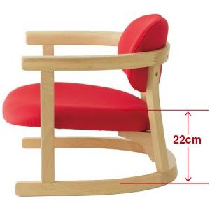 かに座 PLUS ロータイプ KP-100 高座椅子 バリアフリー