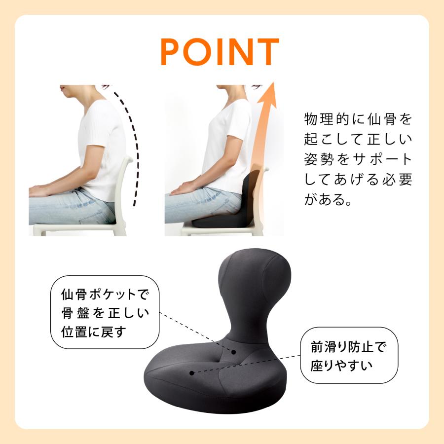 ドリーム 骨盤座椅子 凛座 快適な座り姿勢をサポート 骨盤クッション