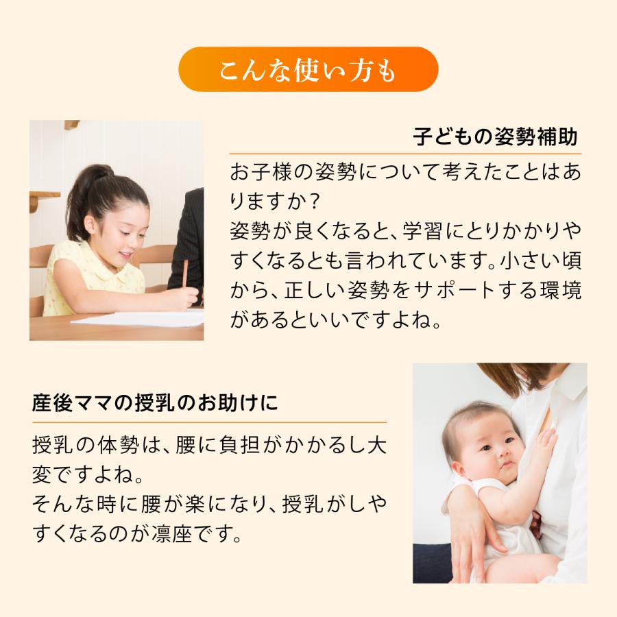 ドリーム 骨盤座椅子 凛座 快適な座り姿勢をサポート 骨盤クッション