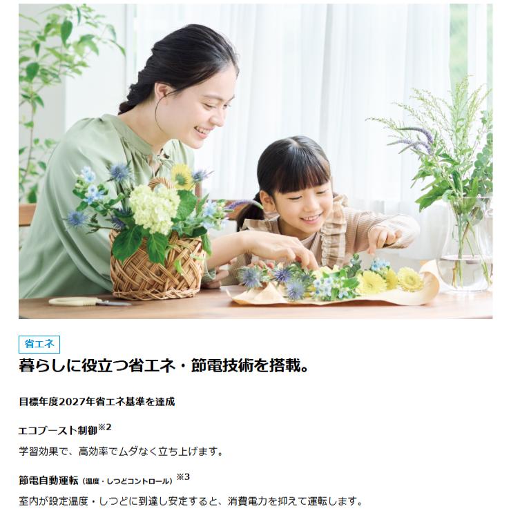 ダイキン（DAIKIN） 【納期未定】【法人限定】エアコン 10畳 2.8kW