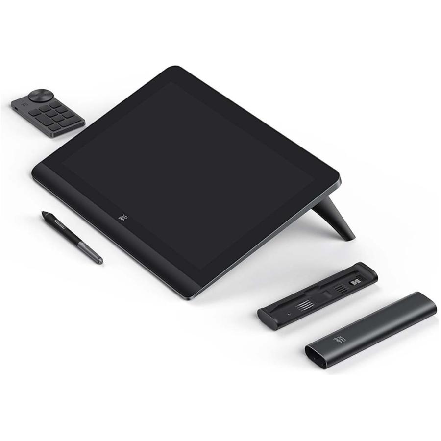 XP-PEN Artist Pro 16 (Gen2) 替え芯セット付属 ARTPP160QH_JP : NEXT
