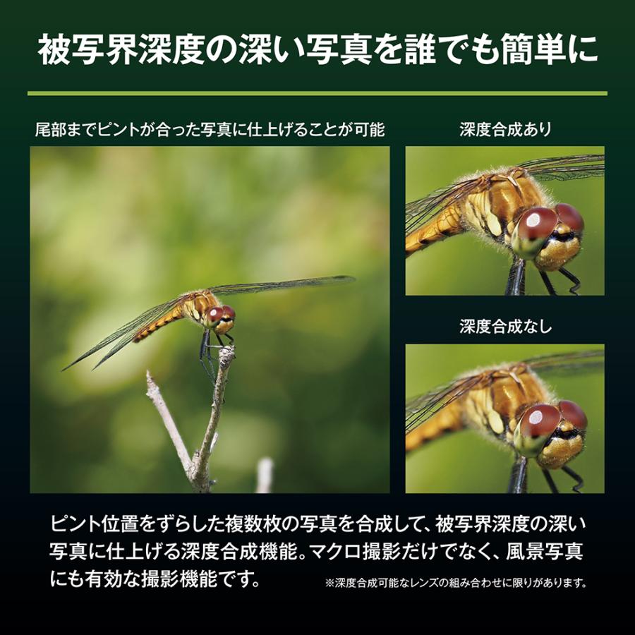 オリンパス（OLYMPUS） OM SYSTEM オーエムシステム 【純正スペア電池