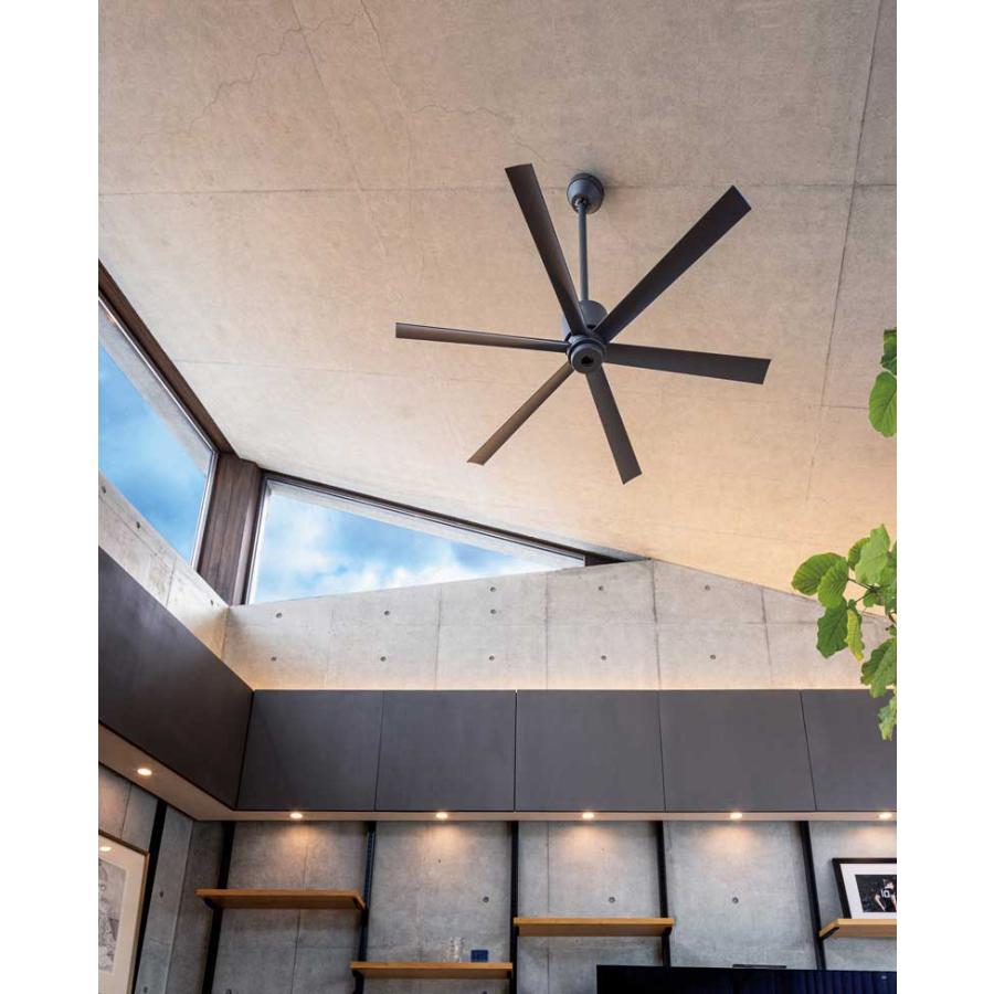 ODELIC オーデリック WF249P1 シーリングファン