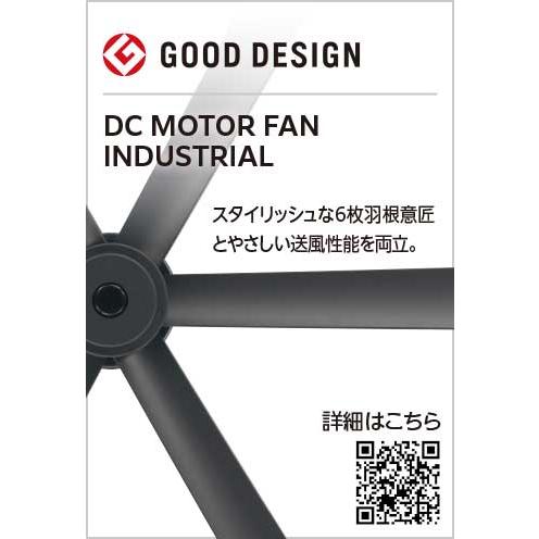 ODELIC（オーデリック） WF249P1 シーリングファン(チャコールグレー色