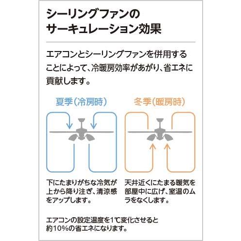 ODELIC（オーデリック） WF249P1 シーリングファン(チャコールグレー色