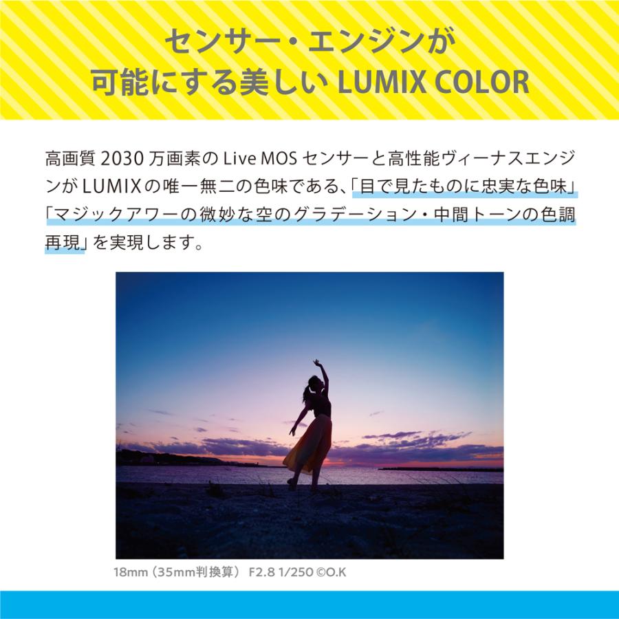 Panasonic パナソニック DC-G100DK-K(ブラック) LUMIX Kキット 標準ズームレンズキット ルミックスの画像