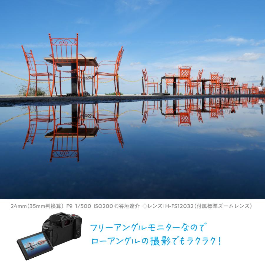 Panasonic パナソニック DC-G100DK-K(ブラック) LUMIX Kキット 標準ズームレンズキット ルミックスの画像