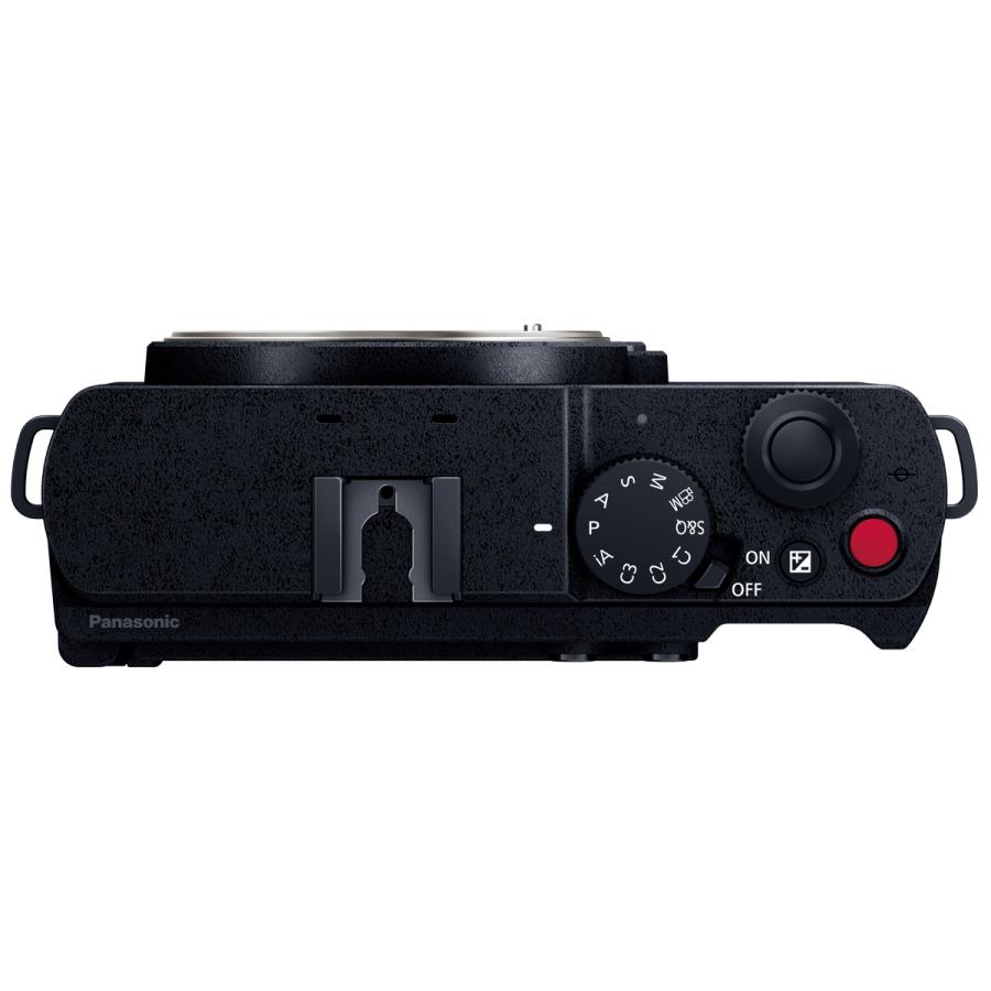Panasonic（パナソニック） DC-S9-K（ジェットブラック） LUMIX S9