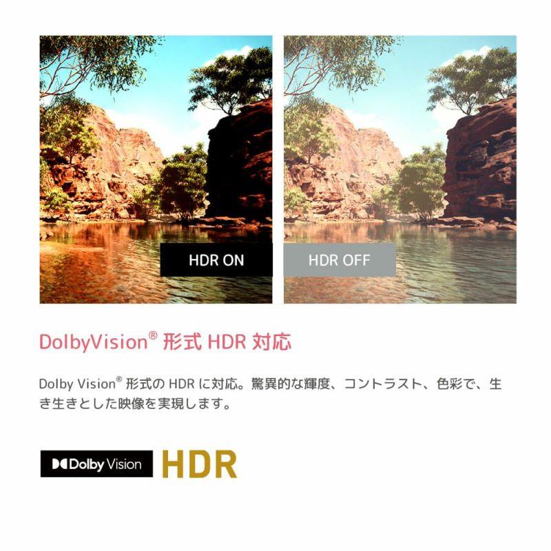 ORION オリオン 55V型4K GoogleTV搭載 スマート液晶テレビ OLS55RD10C