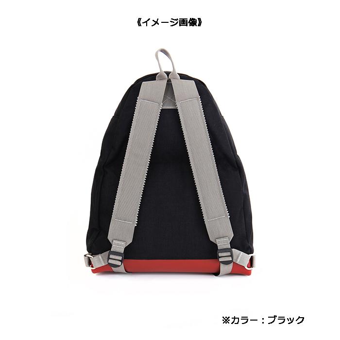 SIERRA DESIGNS シエラデザイン デイトリッパー・クラシック 