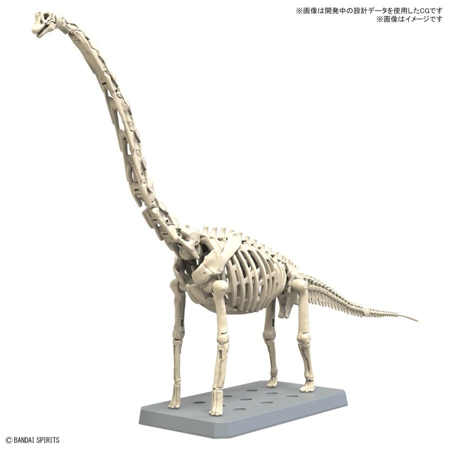 BANDAI SPIRITS バンダイスピリッツ プラノサウルス ブラキオサウルス