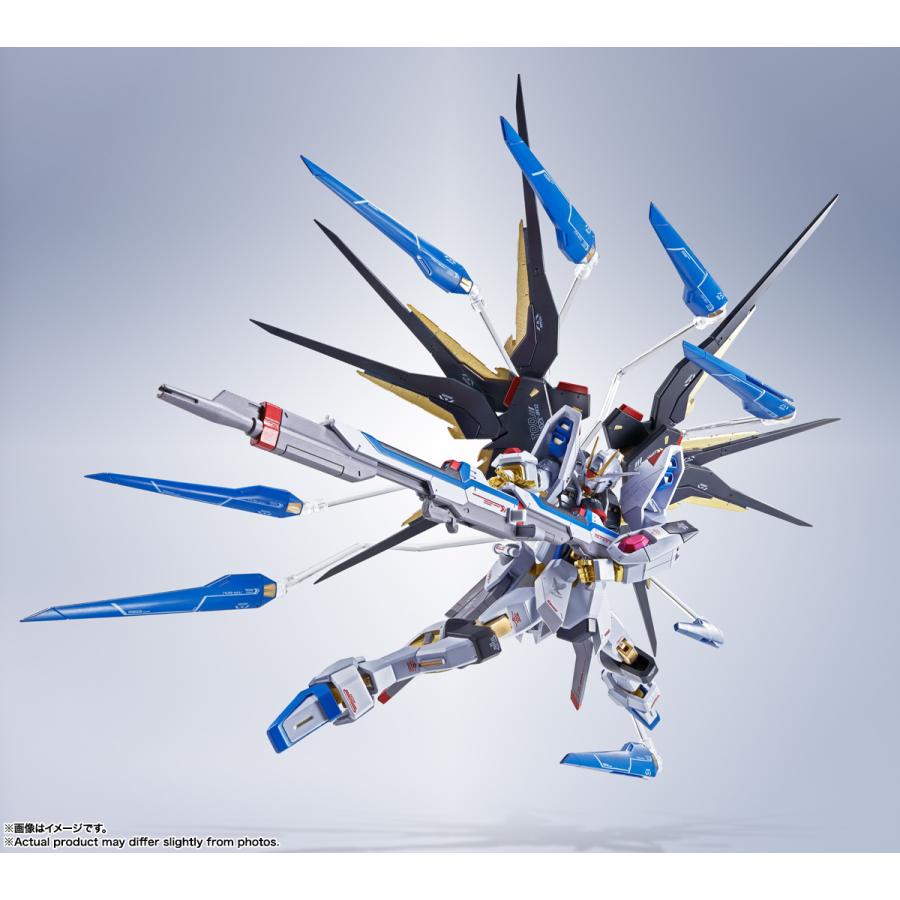 BANDAI SPIRITS バンダイスピリッツ METAL ROBOT魂＜SIDE MS
