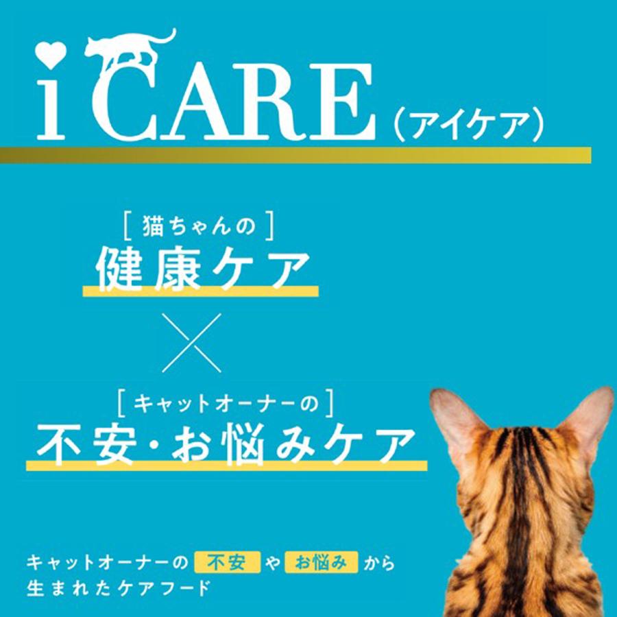 AIXIA アイシア i CARE 水分補給 まぐろペースト パウチ 35g : NEXT
