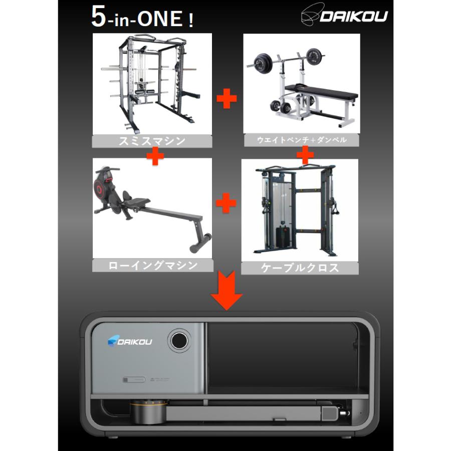 DAIKOU/大広 【代引不可】【家庭用】スマートホームジム 5-in-One