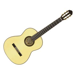 【希少】アコースティック ギター アリア A-100F ハードケース付 Aria/アリア A-100F クラシックギター 【Flamenco】【ソフトケース付き