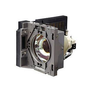 RICOH リコー RICOH PJ WU6480/X6480用交換用ランプタイプ29 513779 リコー（RICOH） RICOH PJ WU6480/X6480用交換用ランプタイプ29 513779
