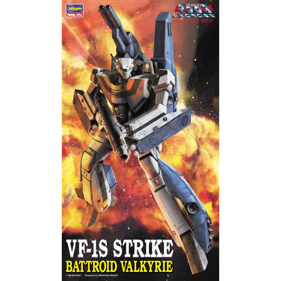 Hasegawa ハセガワ 数量限定 1/72 時空要塞マクロス 愛・おぼえ