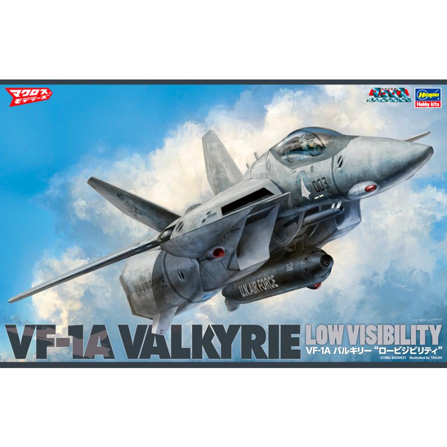 Hasegawa ハセガワ 1/48 マクロス シリーズ VF-1A バルキリー ロー 