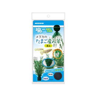 株式会社 マルカン ニッソー事業部 メダカのたまご産み草ミニ 4975637246298 Next 通販 Yahoo ショッピング
