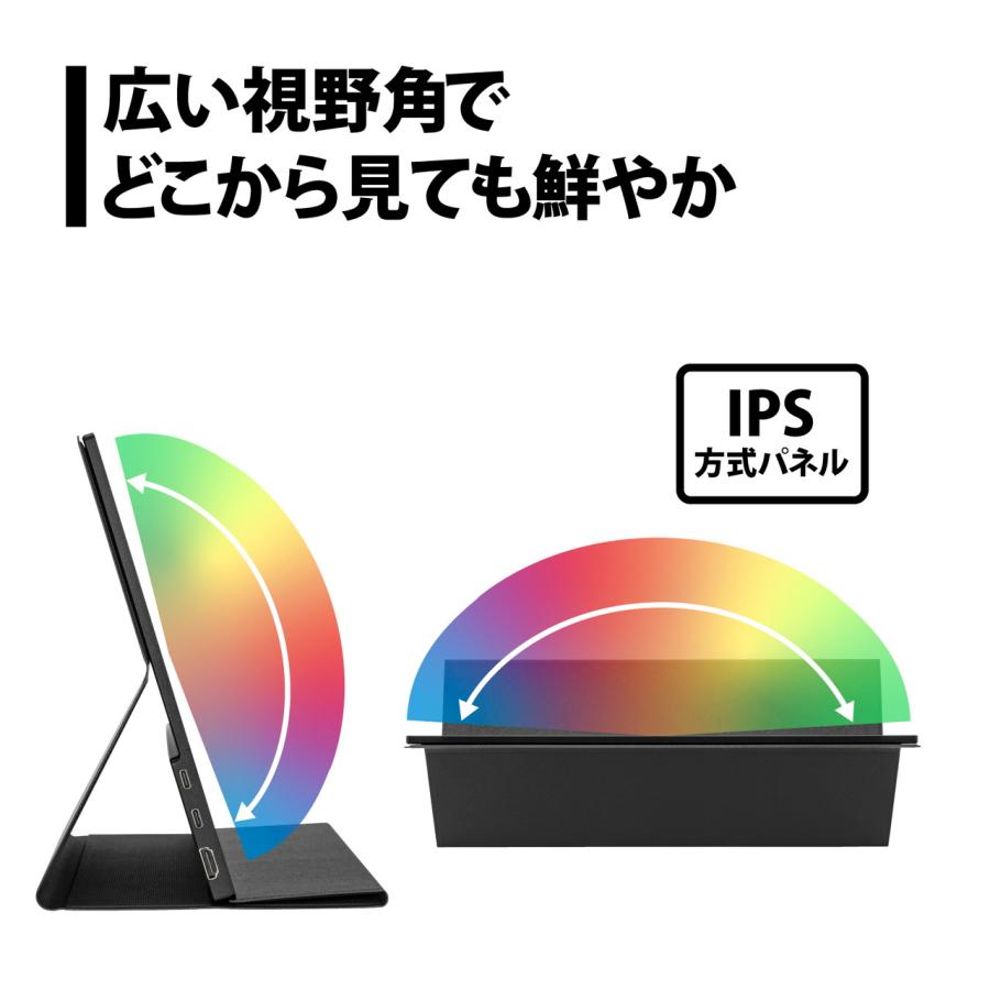 PRINCETON（プリンストン） 15.6型フルHDモバイルモニター IPSパネル